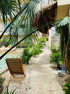 圖盧姆的住宿－Jaakbal Tulum，棕榈树建筑旁边的椅子