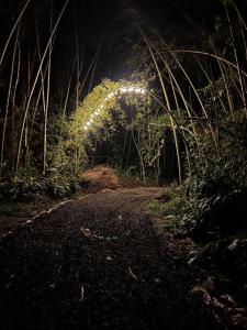 a dirt road with a lit up arch at night at Glamping Salento in Salento