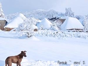 Obiekt HOTEL PIORNEDO zimą