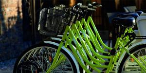 Катание на велосипеде по территории Зеленоградск Спа Отель или окрестностям