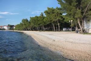 een strand met een groep bomen en water bij Seaside house for families with children Zadar - Diklo, Zadar - 20962 in Zadar