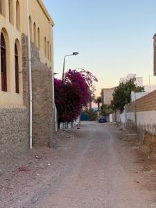 eine leere Straße mit einem Gebäude und einer Straßenbeleuchtung in der Unterkunft Bougainvillea studio in Dahab