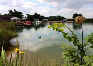 a duck swimming in a lake with a dock at Bosworth Lakeside Lodges 