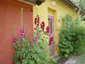 Giardino di Onkel Enkels Pensionat