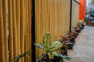 Galeriebild der Unterkunft Chill Out Hostel in Boracay