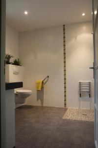 a bathroom with a toilet and a sink at La Maison Des Landes in Mouzillon +21 photos