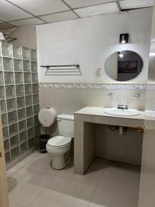 a bathroom with a toilet and a sink and a mirror at Hotel Halley in León
