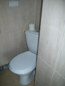 toaletę z rolką papieru toaletowego na górze w obiekcie Domek Anna w Turawie