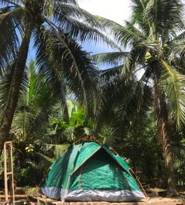 Fotografie z fotogalerie ubytování Ecoco Homestay Mekong v destinaci Ben Tre