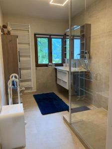 a bathroom with a shower and a sink and a mirror at Haus Fremerey in Krün