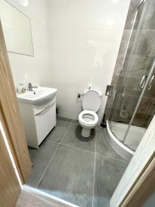 La salle de bains est pourvue de toilettes, d'un lavabo et d'une douche. dans l'établissement OSPER Rooms, à Łomża