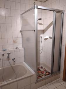 a shower with a glass door in a bathroom at Mayntz' Albjuwel in Meßstetten
