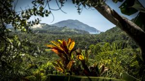 Imagen de la galería de Pousada Vale Verde Bungalows, en Praia do Rosa