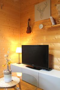 a living room with a flat screen tv on a wooden wall at Das Paradieschen in Edlitz