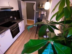 a kitchen with a plant in the middle of a room at Natürlich mit Stil - 24-7 und Check-in in Kiel