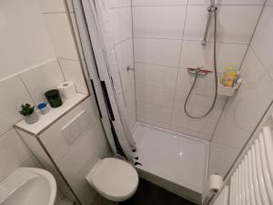 a bathroom with a shower and a toilet and a sink at Natürlich mit Stil - 24-7 und Check-in in Kiel +11 photos
