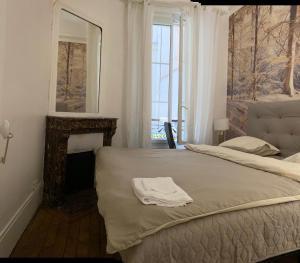 um quarto com uma cama com um espelho e uma lareira em Beau 3 pièces à Paris 13 em Paris