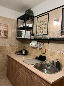 Kuchyňa alebo kuchynka v ubytovaní Apartmány Lavander Mikulov