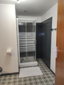a shower with a glass door in a bathroom at Apartment Le 1739 in La Coste