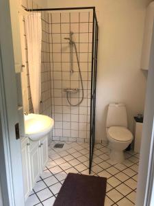 a bathroom with a shower and a toilet and a sink at Holiday Apartment In Dueodde Holiday Park in Neksø