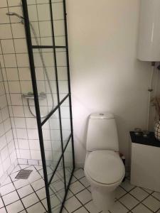 a bathroom with a white toilet and a shelf at Holiday Apartment In Dueodde Holiday Park in Neksø