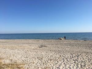 Φυσικό τοπίο κοντά σε αυτή η παραθεριστική κατοικία +5 φωτογραφίες