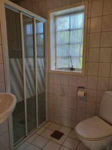 uma casa de banho com um chuveiro, um WC e uma janela. em Klynehuset em Neksø