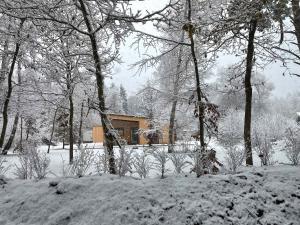 Luxurious Wooden House In Idyllic Surroundings v zimě
