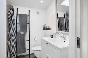 a bathroom with a sink and a toilet and a mirror at Unique New Beach-House I Seaview And Space in Vejby +32 photos