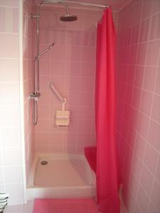 a pink shower with a pink shower curtain in a bathroom at Hotel gites des touristes in Vollore-Montagne