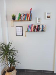 een kamer met een plant en boeken aan een muur bij DAS TONIS - IHR Bett im Herzen des Salzkammergutes in Bad Goisern