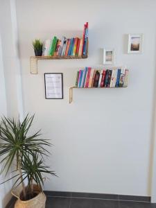 The library in Az apartmant