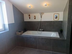 een badkamer met een bad in de kamer bij DAS TONIS - IHR Bett im Herzen des Salzkammergutes in Bad Goisern