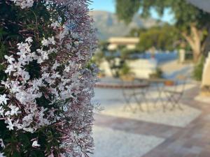Vonkajšia záhrada v ubytovaní 'Coll de Rates' Beautiful 1-Bed Apartment