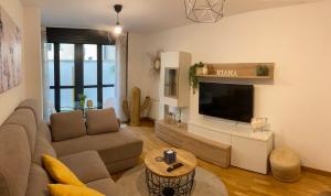ein Wohnzimmer mit einem Sofa und einem Flachbild-TV in der Unterkunft VIANA in Monforte de Lemos