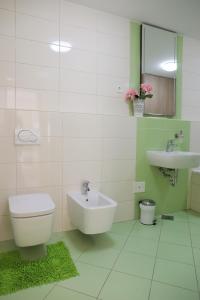 La salle de bains est pourvue de toilettes et d'un lavabo. dans l'établissement HIDDEN GEM Ljubljana, à Ljubljana