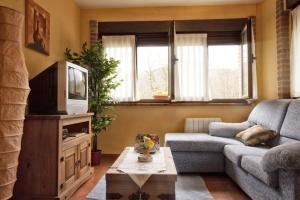 ein Wohnzimmer mit Sofa und Fernseher in der Unterkunft Apartamentos el Caserón in Soto de Cangas