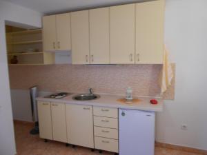 Kuchyňa alebo kuchynka v ubytovaní Apartments Luvi