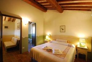 a bedroom with a bed and a chair and a mirror at B&B Al Felcino in Fabro