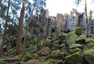 uma floresta rochosa com árvores e musgo verde em Ferienhaus Ziegelhof em Poppenhausen