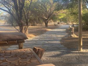 un chemin en pierre avec un banc et quelques arbres dans l'établissement El Huarango Eco retreat, à La Huaica