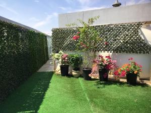 a garden with potted plants on the side of a building at SALA Tourism Investment Furnished Apartments Family in Al Ain