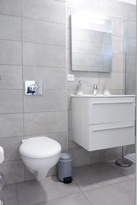 W łazience znajduje się toaleta, umywalka i lustro. w obiekcie N7 Maison T2 climatisé avec jacuzzi privé w Ajaccio