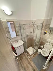 een badkamer met een douche, een toilet en een wastafel bij Violett Apartman in Balatonberény