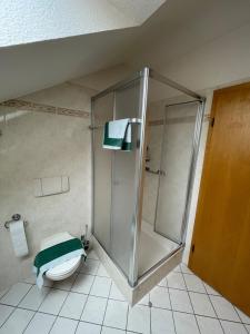 uma casa de banho com um chuveiro e um WC. em Appartement Schwalbennest em Goslar