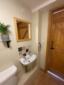 a bathroom with a sink and a toilet and a mirror at Pretty Cottage In Charming Peaceful Village in Kingston