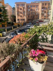 a balcony with potted plants on a city street at La casa di Miretta in Chieti