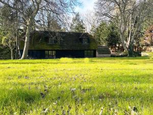 una casa verde en un campo de hierba en Forest Studio Apartment gated Parking on 2 acres Garden, en Chislehurst