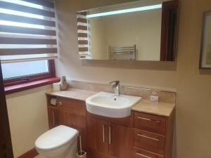 a bathroom with a sink and a toilet and a mirror at Apartment at Drummond Crescent in Inverness