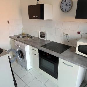 cocina con lavadora y fregadero en Spacieux appartement résidence calme en Fonsorbes